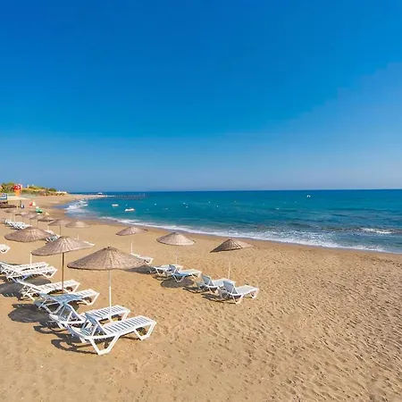 ホテル Grand Juno Beach Hotel